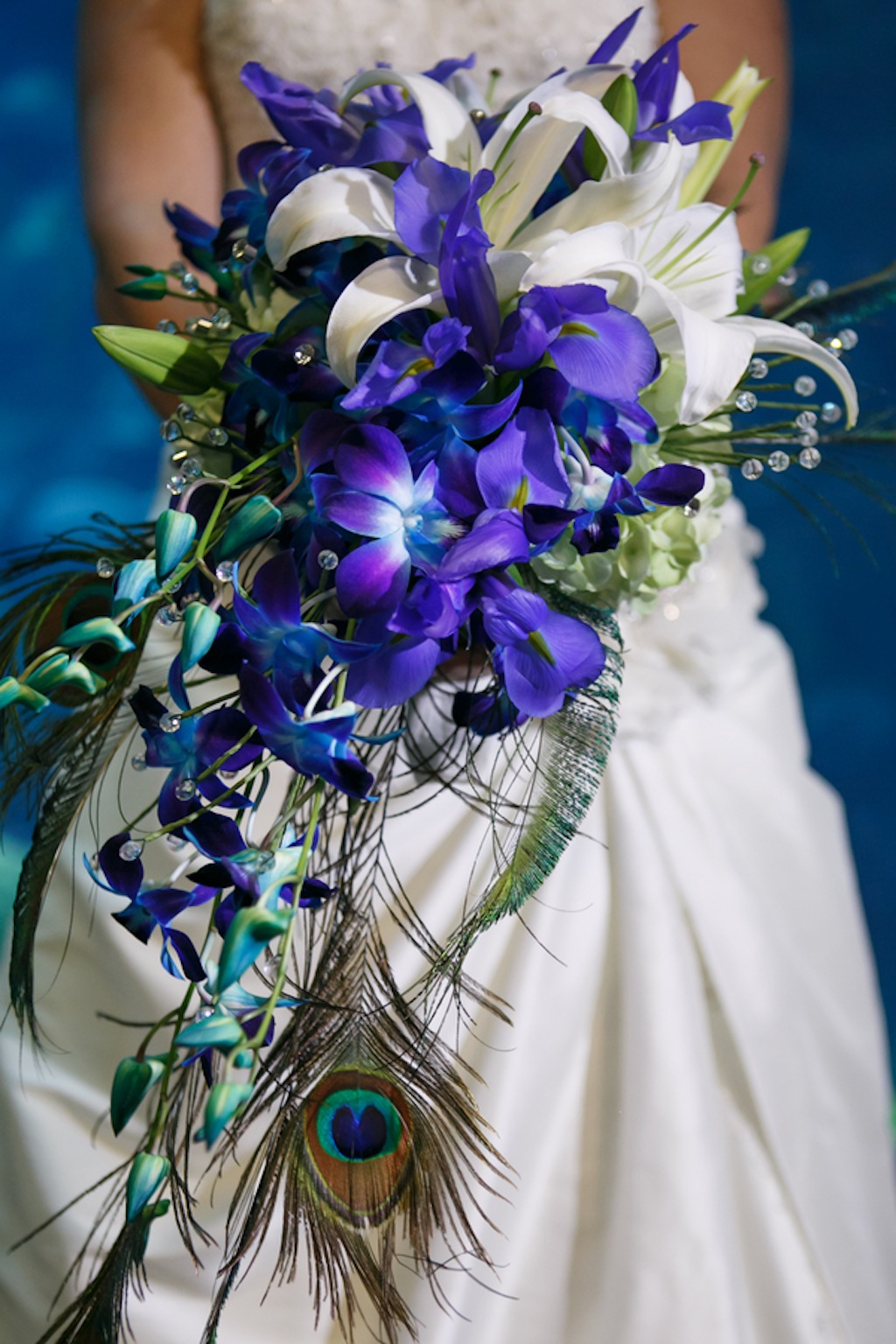 Gasparilla Inspired Peacock Wedding at the Florida Aquarium by Carrie Wildes Photography (5)
