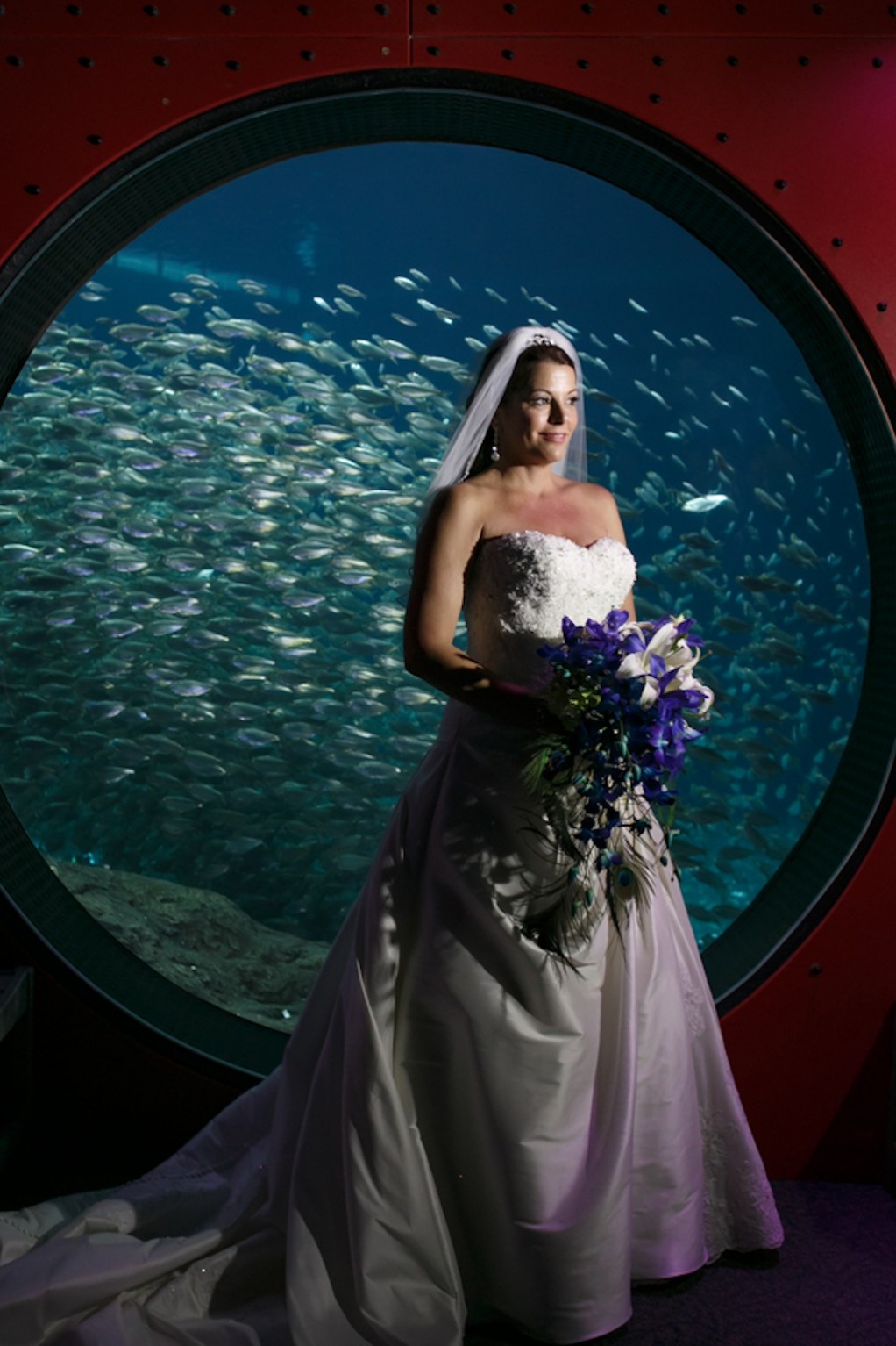Gasparilla Inspired Peacock Wedding Florida Aquarium Wedding Marry