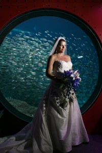 Gasparilla Inspired Peacock Wedding at the Florida Aquarium by Carrie Wildes Photography (7)
