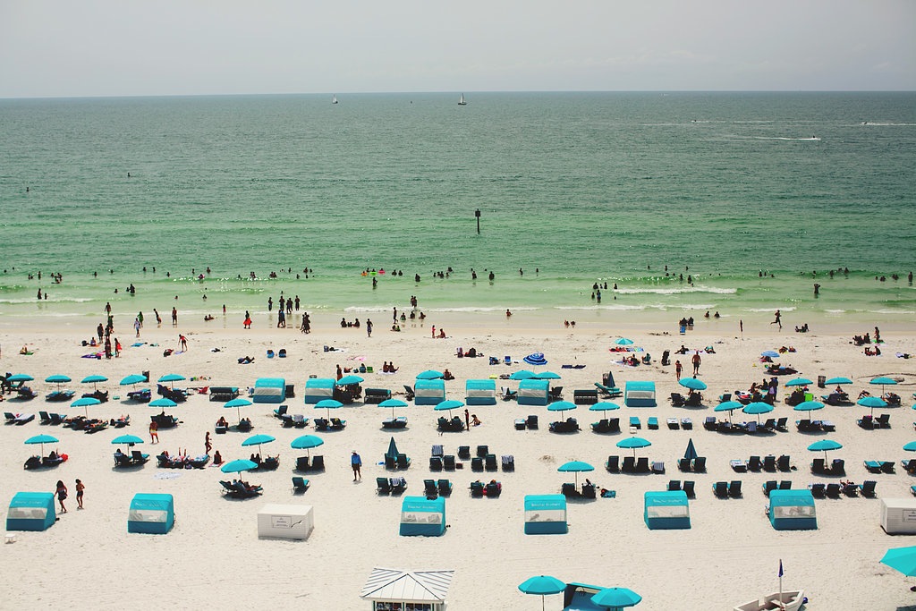 Honeymoon Island State Park Beach