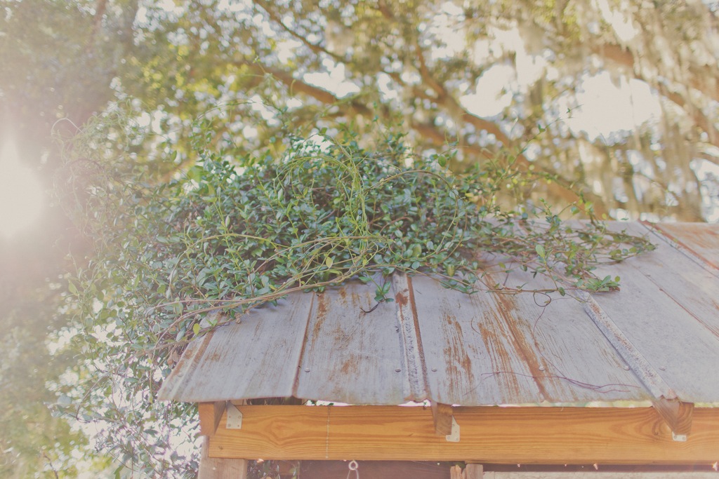 Cross Creek Ranch Rustic Wedding Venue in Tampa Bay