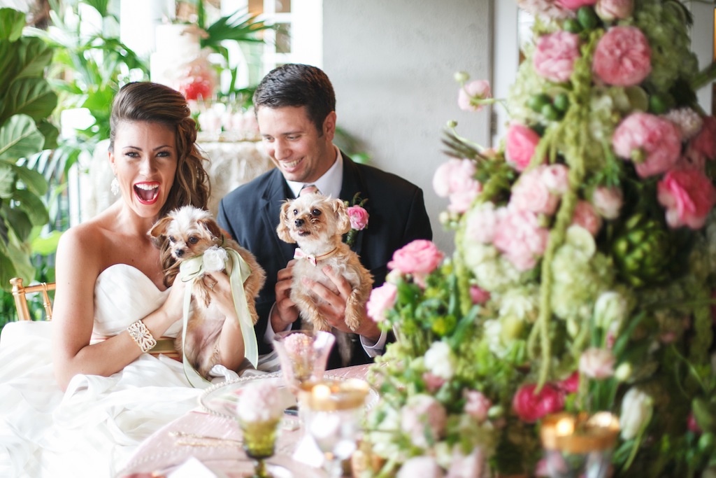 Bride and Groom with Dogs on Wedding Day - Tampa Wedding Photography Carrie Wildes Photography