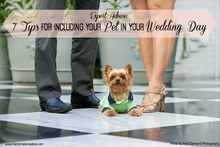Expert Advice: 7 Tips for Including Your Pet in Your Wedding