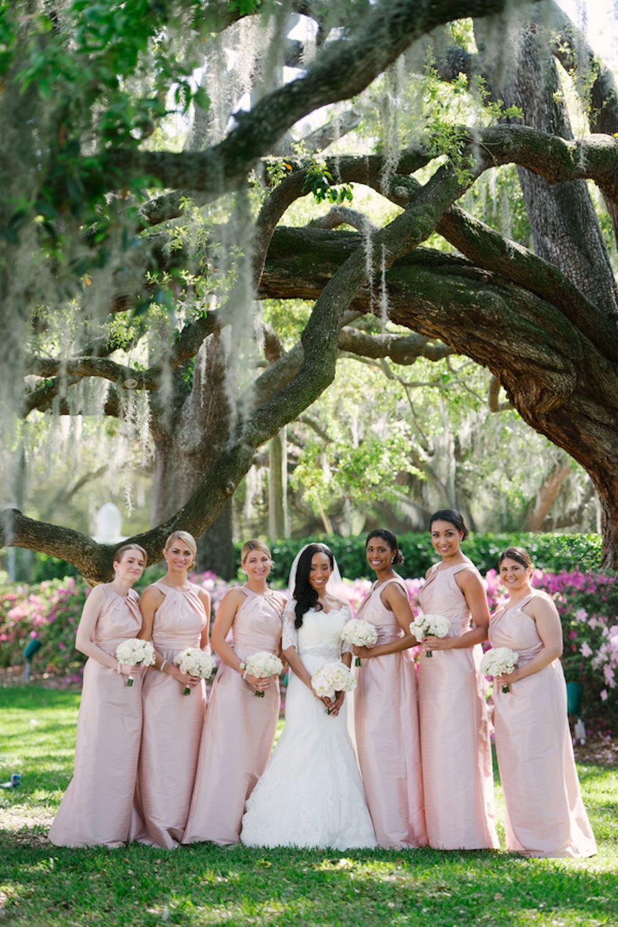 Blush Bridesmaids Dresses | Wedding Party Portrait