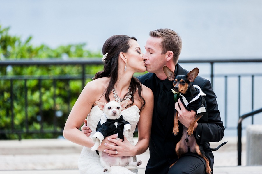 Bride and Groom with Dog in Tuxes on Wedding Day