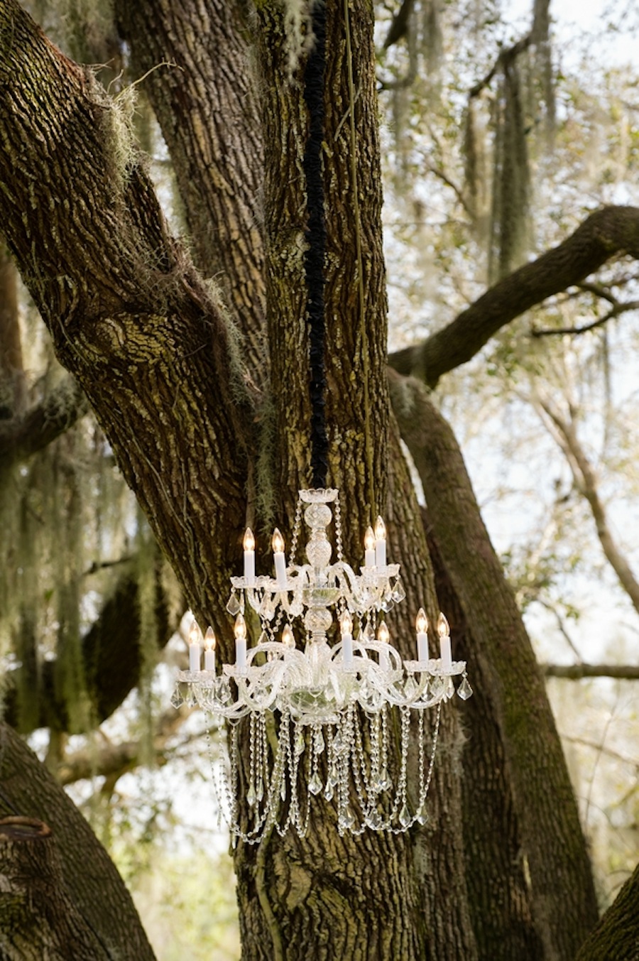 Rustic Wedding Ceremony Decor | Outdoor Hanging Chandelier