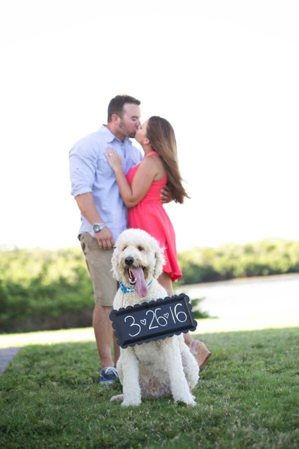 Tampa Bay Wedding Round Up July 3, 2015 Marry Me Tampa Bay Most