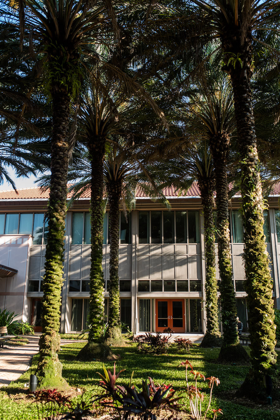 Unique Downtown St. Pete Waterfront Wedding Venue The Poynter Institute | St. Petersburg Wedding Photographer Caroline & Evan Photography