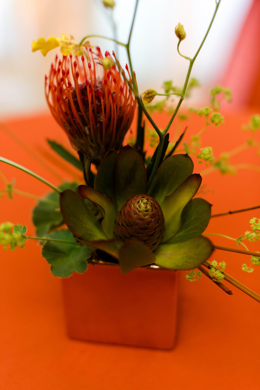 Tropical Orange Wedding Centerpieces | St. Petersburg Wedding Florist Wonderland Floral Art and Gift Loft