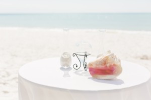 Destination Siesta Key Beach Wedding Ceremony | Conch Shell and Sand Ceremony