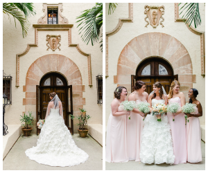 Jordan Fashions Wedding Dress | Blush Pink David's Bridal Bridesmaid Dresses