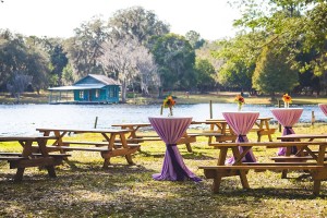 Outdoor Purple Wedding Reception Cocktail Hour Decor with Picnic Tables at Outdoor String Lighting, Tractor, and Cocktail Decor at Outdoor, Rustic Bride and Groom Wedding Portraits | Rustic, Barn Wedding Ceremony | The Barn Crescent Lake at Old McMickey's Farm