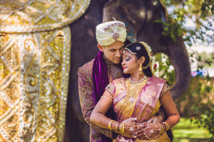 Sarasota, Florida Indian Bride and Groom Wedding Portrait with Elephant