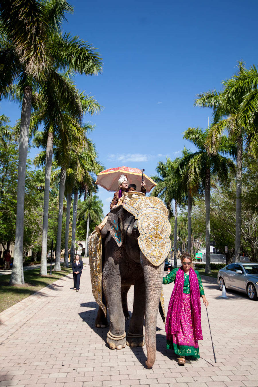 Groom Arriving on Elephant for Indian Wedding