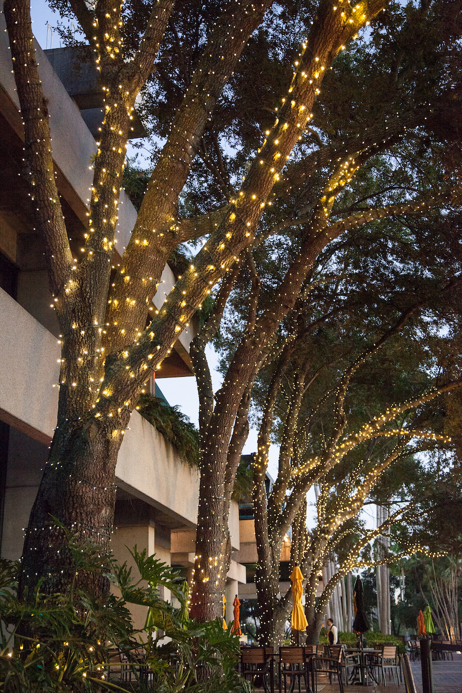 Outdoor Cocktail Hour with Lighted Trees | Downtown Tampa Wedding Venue The Straz Center