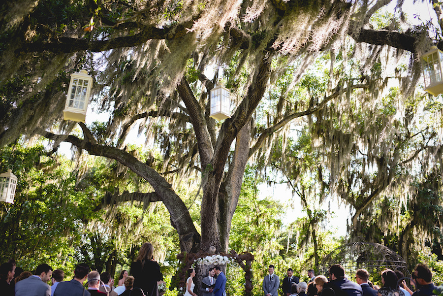 Outdoor Wedding Ceremony Under Large Tree | Rustic Tampa Wedding Ceremony at Cross Creek Ranch