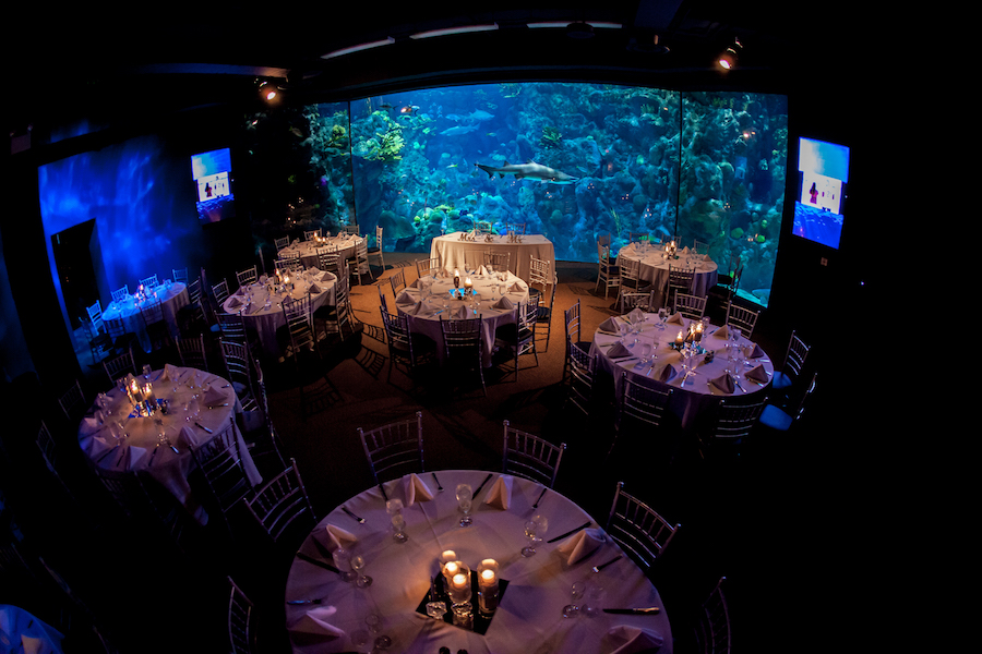 Florida Aquarium Fish/Shark Tank Wedding Reception Venue | Downtown Tampa Wedding Venue