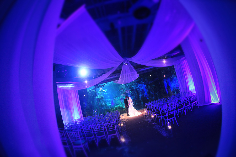 Florida Aquarium Unique Downtown Tampa Wedding Venue