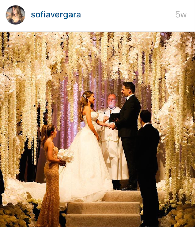 Sofia Vergara and Joe Manganiello Celebrity Wedding 2015