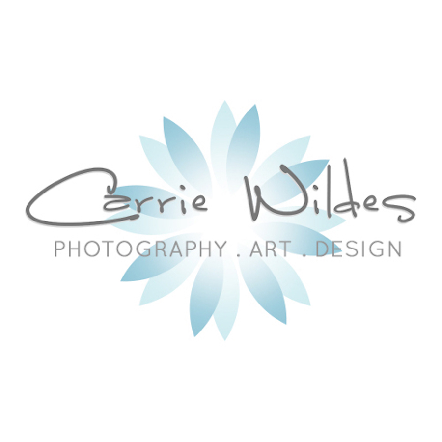 Tampa Wedding Photographer | Carrie Wildes Photography