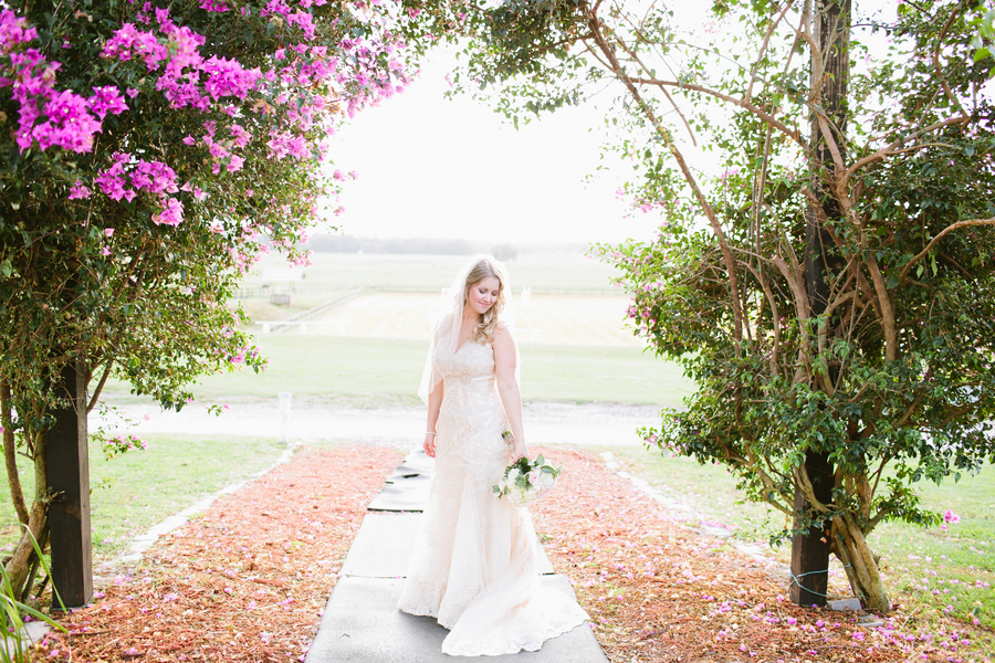 Outdoor, Bridal Wedding Portrait in Lace Stella York Wedding Gown