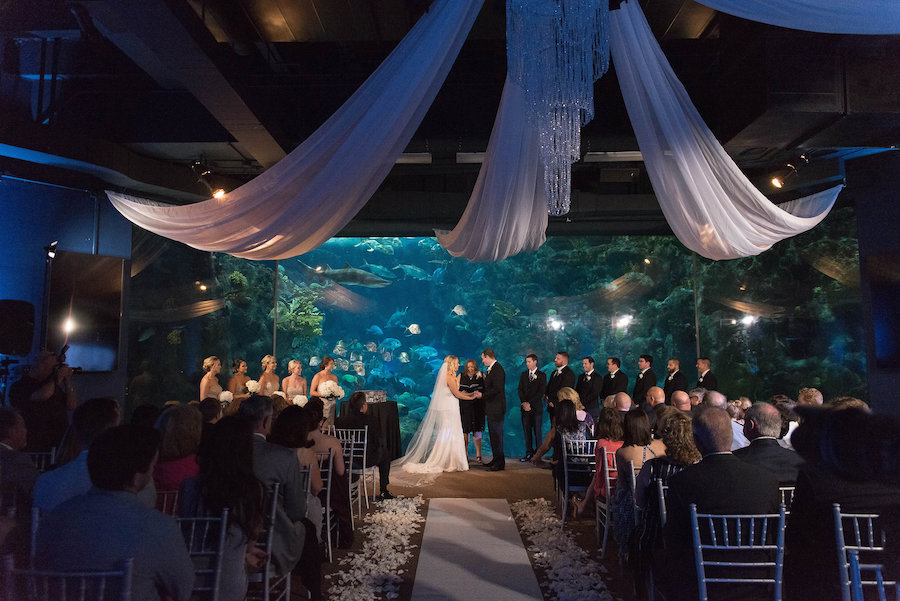 Fish Tank Wedding Ceremony with Draping at Unique Downtown Tampa Wedding Venue The Florida Aquarium | Photo by Tampa Bay Wedding Photographer Kristen Marie Photography Photo by Tampa Bay Wedding Photographer Kristen Marie Photography