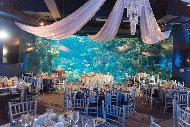 The Florida Aquarium Archives Marry Me Tampa Bay Local Real Downtown Tampa Wedding The Florida Aquarium When Groom Loves Ocean And Fishing Bay Makes For A Perfect Location
