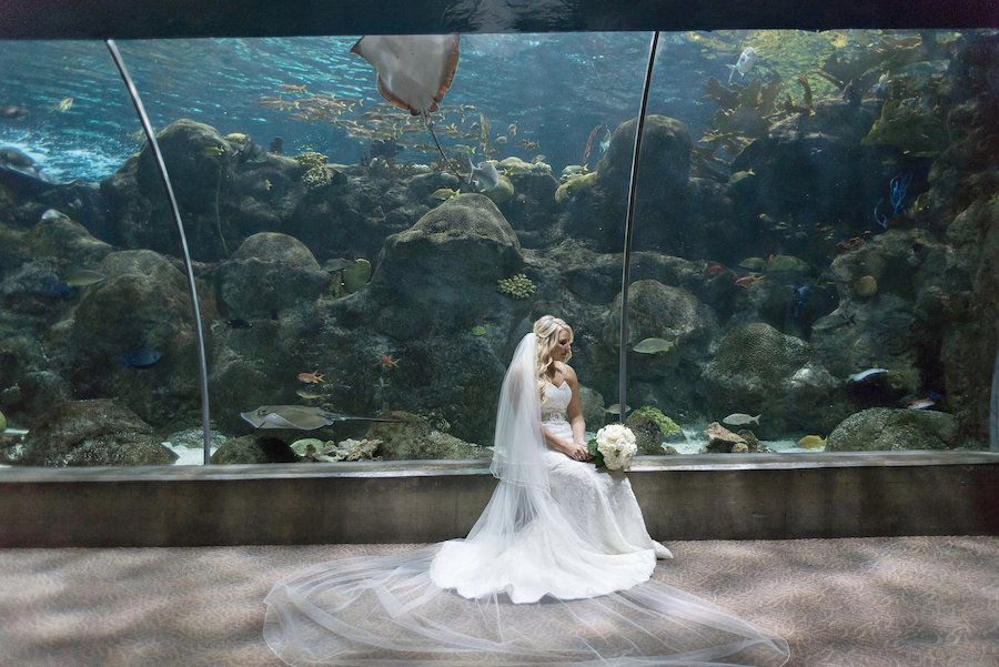 Bridal Portrait at Unique Downtown Tampa Wedding Venue The Florida Aquarium | Photo by Tampa Bay Wedding Photographer Kristen Marie Photography Photo by Tampa Bay Wedding Photographer Kristen Marie Photography