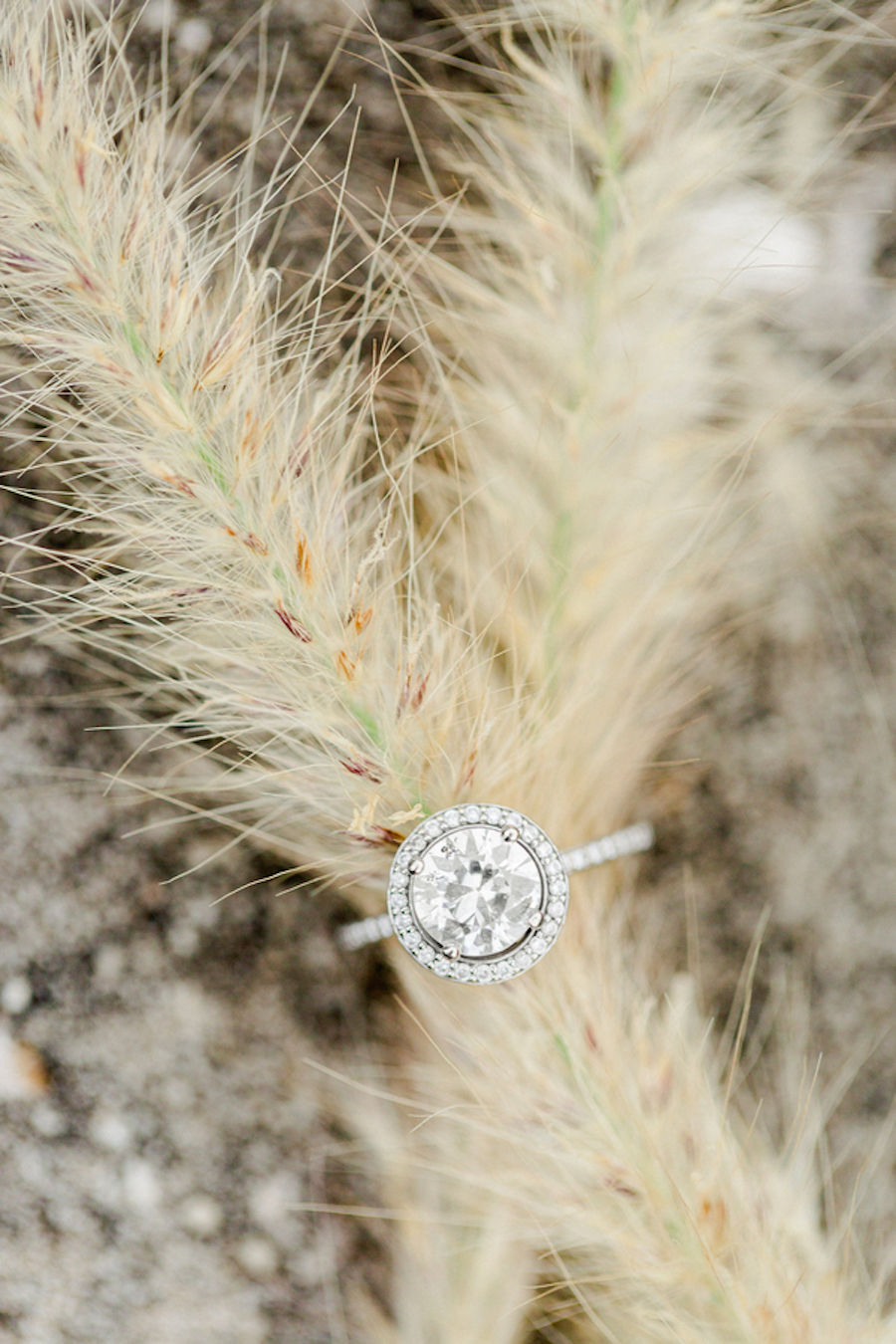 Diamond Engagement Ring Photo with Hay Straw | St. Petersburg Wedding Photographer Ailyn La Torre Photography