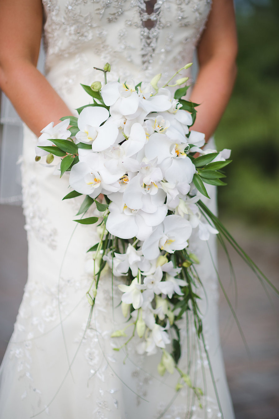 Bridal Wedding Portait with White Orchid Cascading Wedding Bouquet| Picture by Tampa Bay Wedding Photographer Marc Edwards Photographs