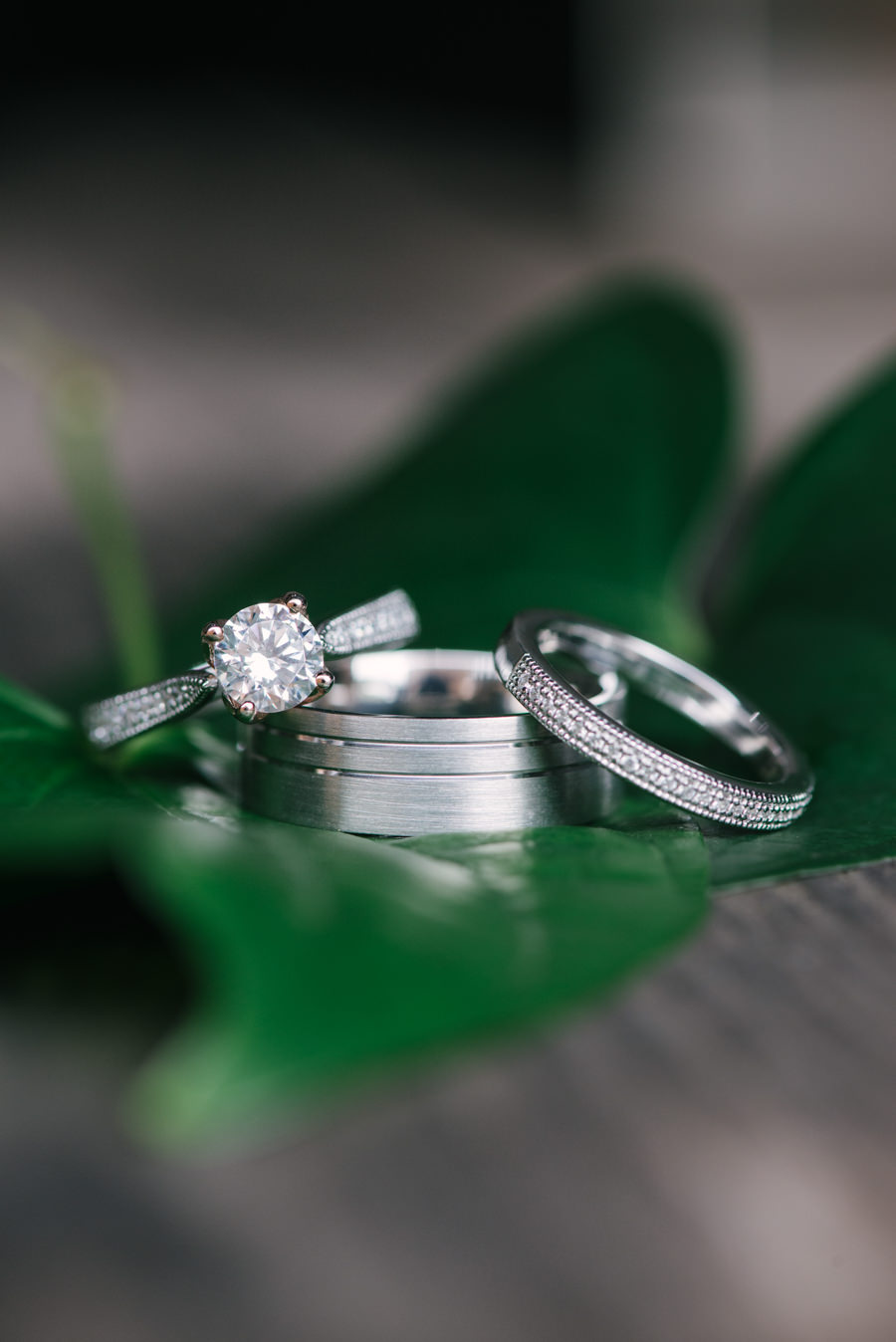Wedding Ring and Engagement Ring