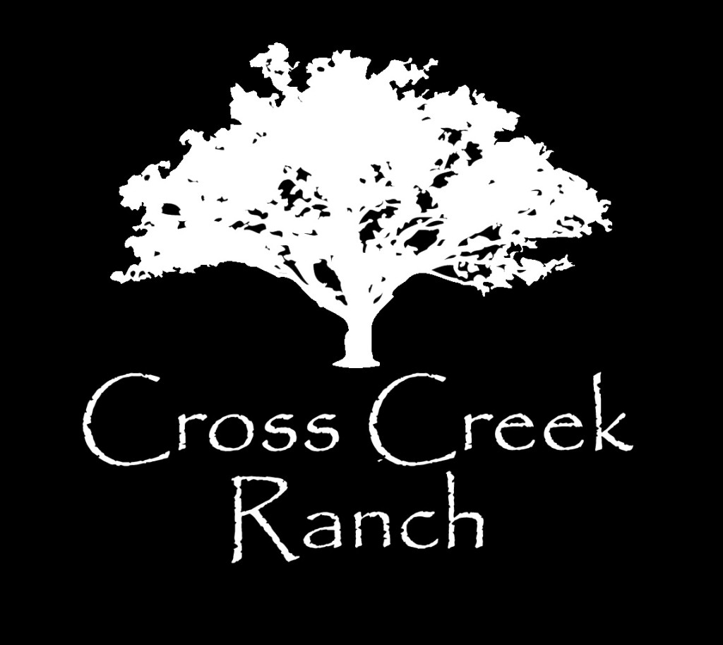 Wedding Venue Spotlight: Cross Creek Ranch - Marry Me Tampa Bay | Most ...