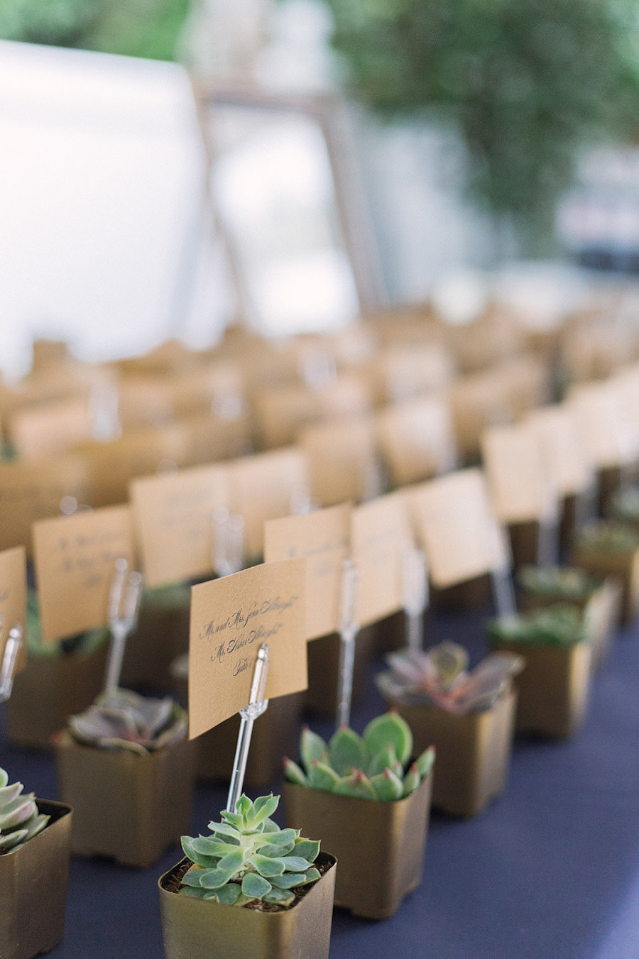 Wedding Reception Guest Seating Chart Place Cards with Succulents