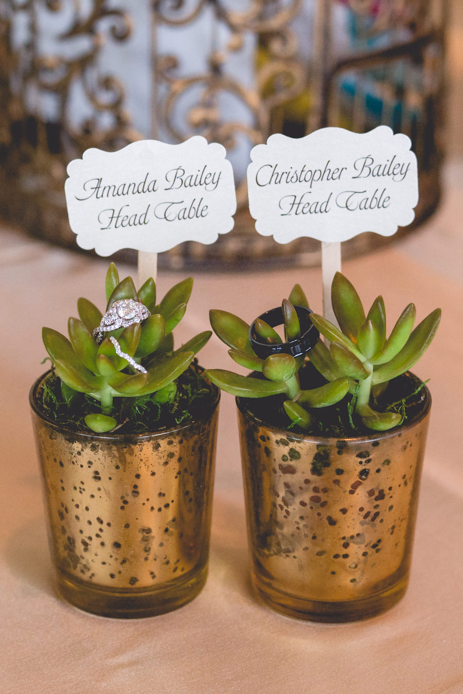 Bride and Groom Engagement Ring and Band Detail on Succulents