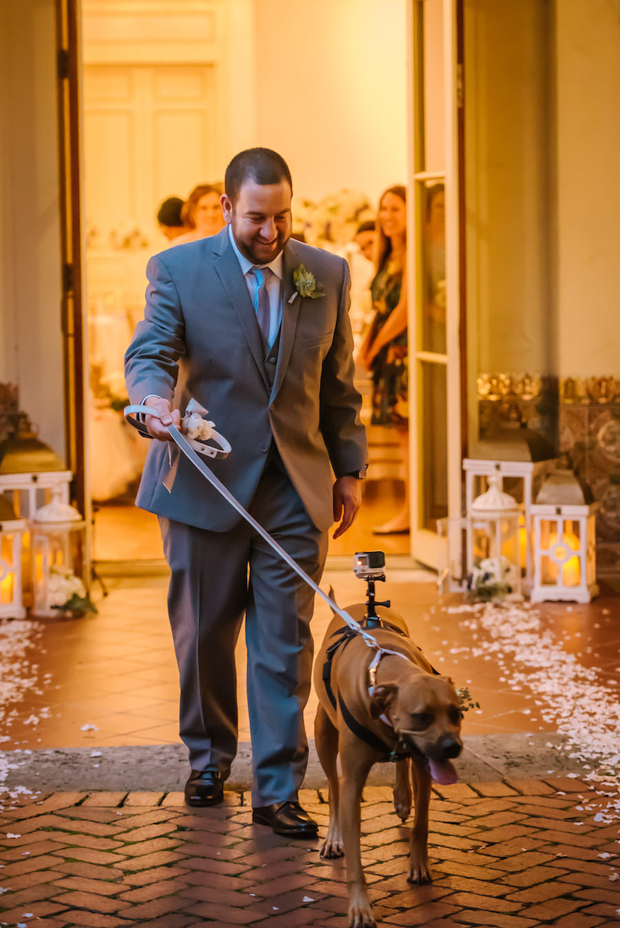 Groomsman and Pet Dog Walking Down The Aisle on Wedding Day | St. Pete Wedding Venue Museum of Fine Art | Specialty Wedding Pet Sitter FairyTail Pet Care