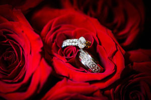 Tampa Bride and Groom Wedding Bands and Engagement Ring Detail on Red Roses| Tampa Wedding Photographers Limelight Photography