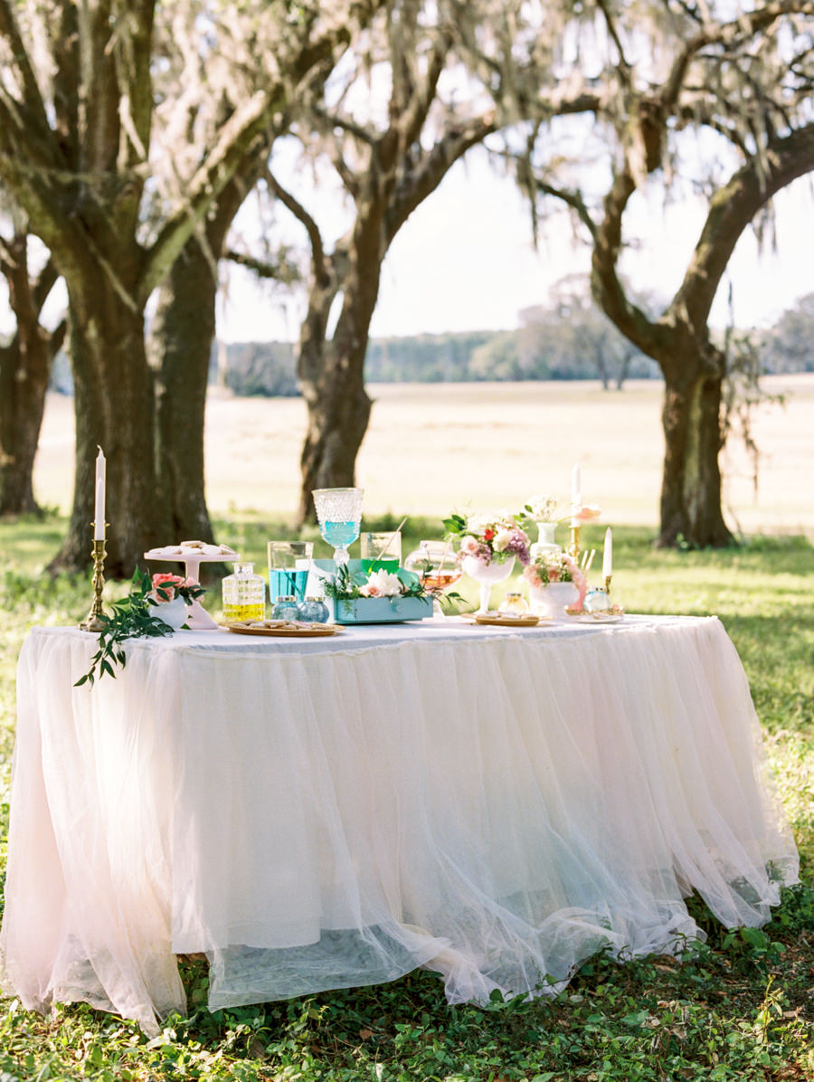 DIY Wedding Reception Favor Table with Hand Painted Cookie Bar and Tulle Tableskirt with Vintage Pieces | Tampa Wedding Rentals by Ever After Vintage Rentals