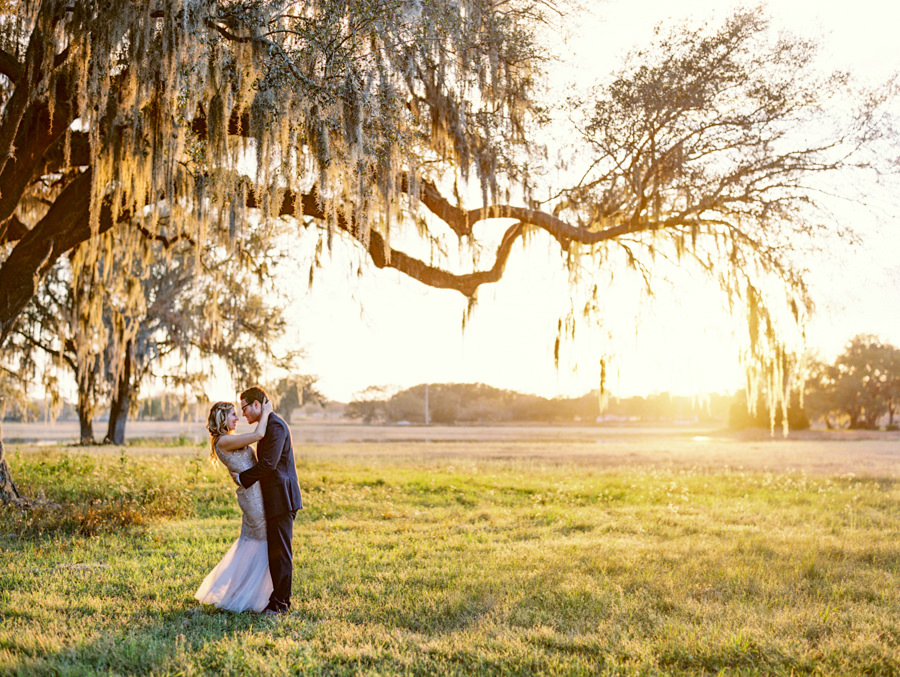 Bride and Groom Outdoor Tampa Sunset Wedding Portrait in Meadow of Greenery with Oak Trees