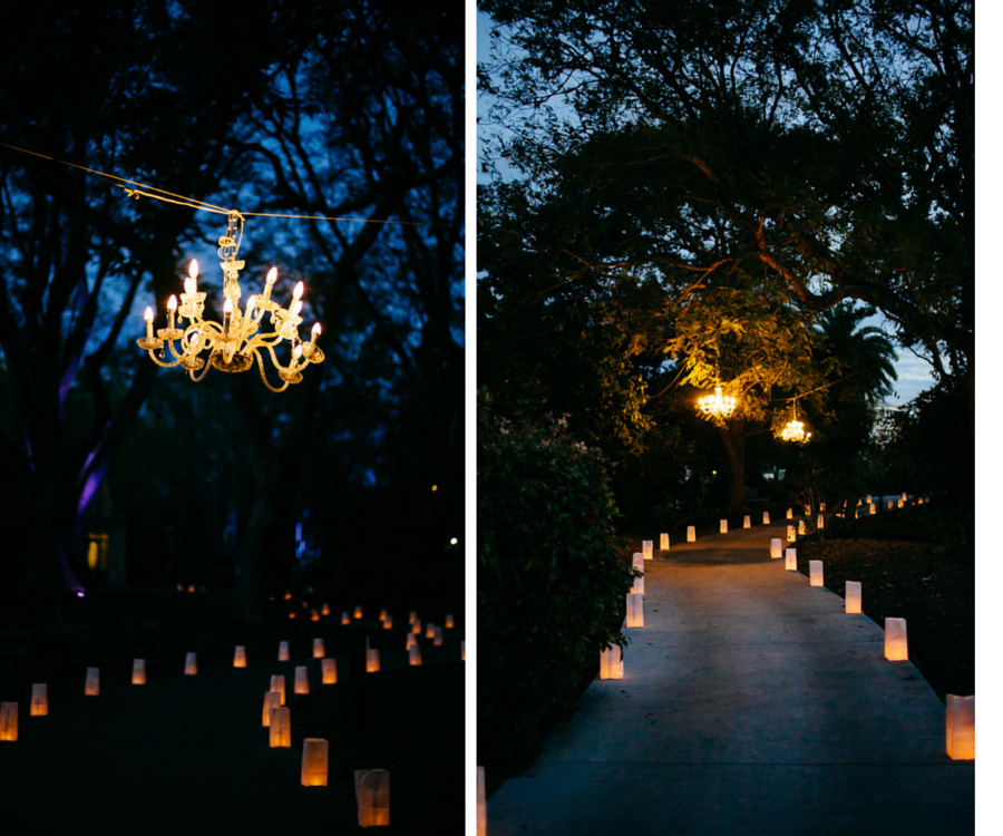 Nighttime, Wedding Chandeliers in Trees and Paper Lantern Walkway | Sarasota Wedding Venue Marie Selby Gardens