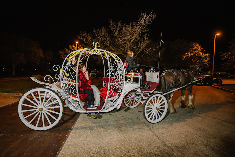 Bride and Groom St. Petersburg Wedding Exit in Horse Pulled Cinderella Carriage