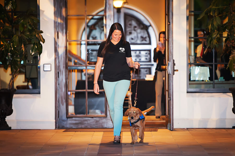 Marry Me Tampa Bay Wedding Week Fashion Show | Southeastern Guide Dogs Puppies in Training in Wedding Tuxedo | Fairytail Pet Care Wedding Planning | Wedding Photographer Limelight Photography