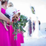 Bright Pink Bridesmaids Wedding Dress with Greenery Bouquet and Yorkie Puppy| Sarasota Wedding Planner Jennifer Matteo Events