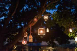 Outdoor, St. Petersburg Wedding Reception Nighttime Tree Lantern Lights