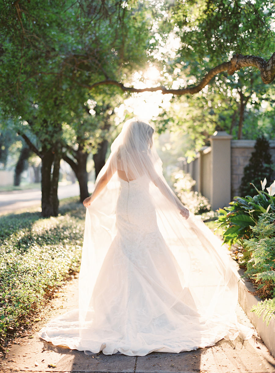 Outdoor, Bridal Portrait in Strapless, Lace Matthew Christopher Wedding Dress and Chapel Length Veil