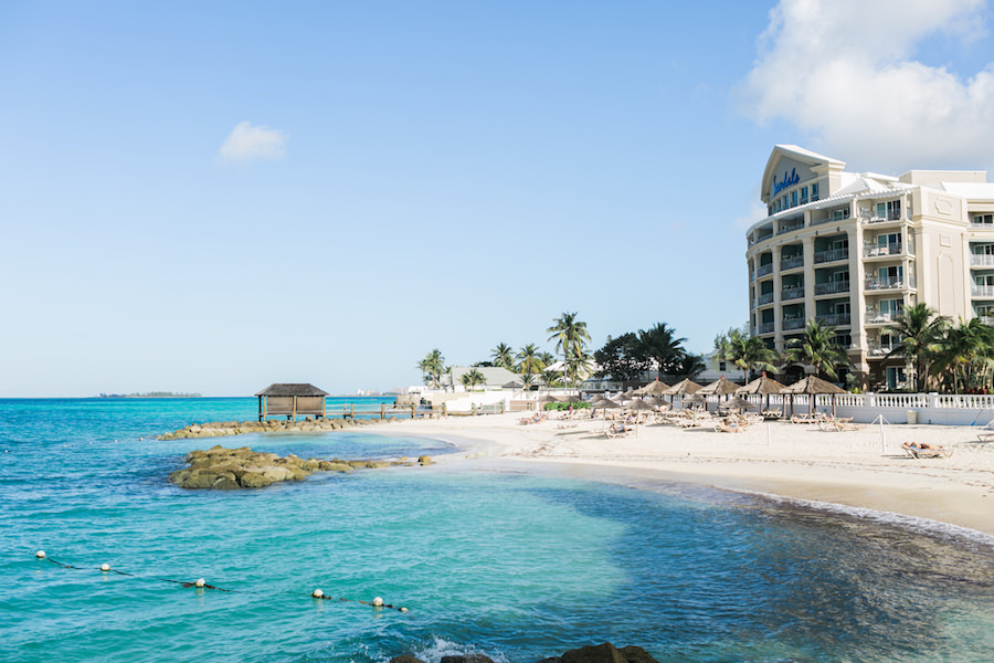 Follow the path between the palms to one of your favorite spots. 🌴 Can you  guess the name of the pool it leads to? . . . . . #Sandals... | Instagram