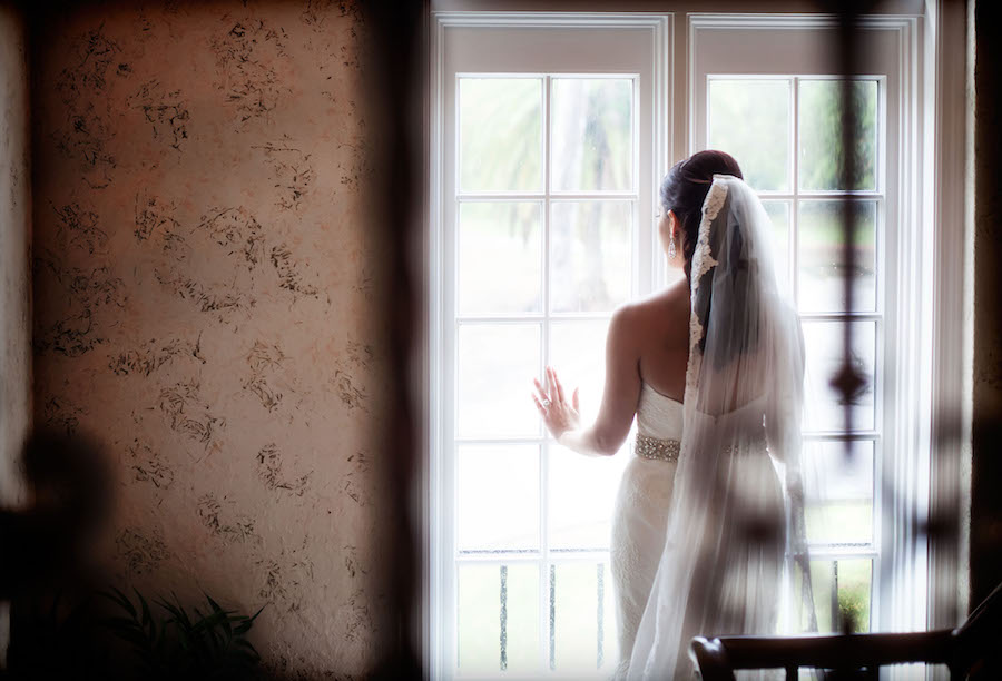 Bridal Wedding Portrait in Ivory, Lace Allure Wedding Dress and Veil