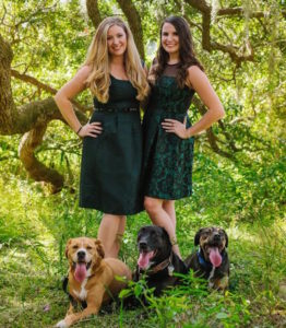 Tampa Bay Wedding Day Petsitters | Owners of FairyTail Pet Care | Tampa Wedding Day Pet Care by FairyTail Pet Care