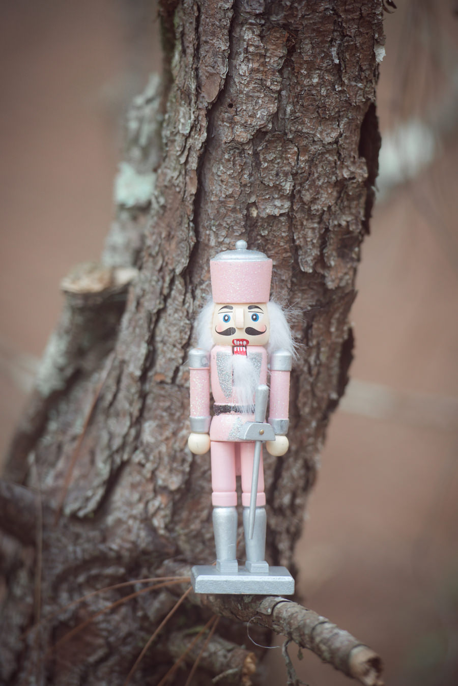 Nutcracker Ballet Styled Wedding Shoot