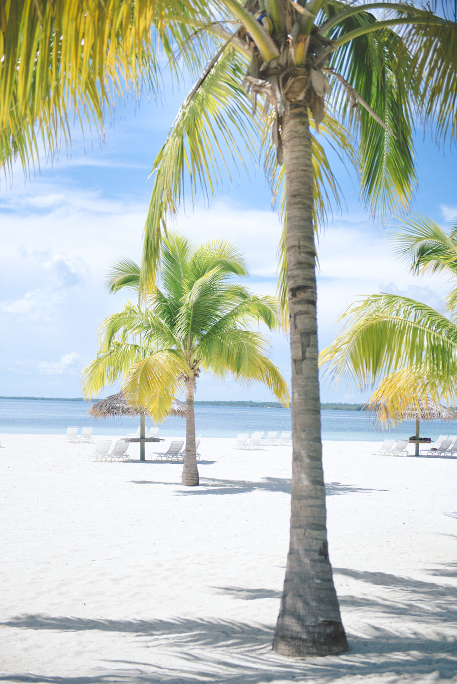 Bahamas Destination Beach Caribbean Wedding | Aisle Society Weddings Abaco Beach Resort