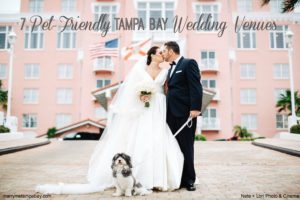 Wedding Planning Advice from FairyTail Pet Planning | Tampa Bay Wedding Venues That Allow Dogs and Pets